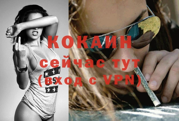 сатива Армянск
