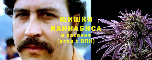 сатива Армянск